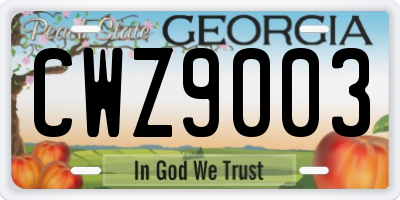 GA license plate CWZ9003