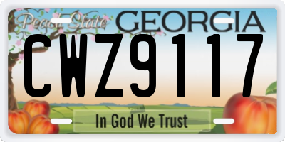 GA license plate CWZ9117