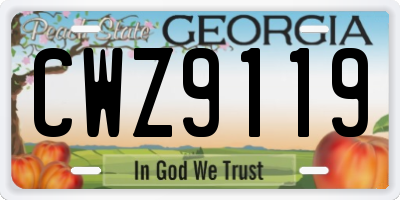 GA license plate CWZ9119