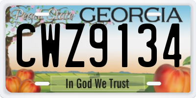 GA license plate CWZ9134