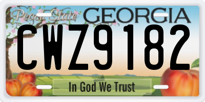 GA license plate CWZ9182