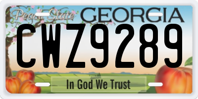 GA license plate CWZ9289