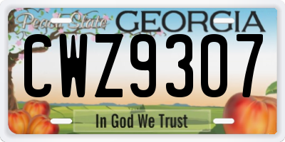 GA license plate CWZ9307