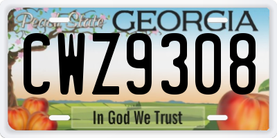 GA license plate CWZ9308