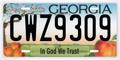 GA license plate CWZ9309