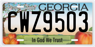 GA license plate CWZ9503