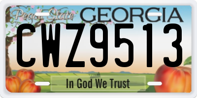GA license plate CWZ9513