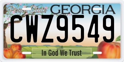 GA license plate CWZ9549