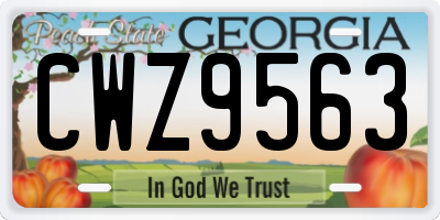 GA license plate CWZ9563