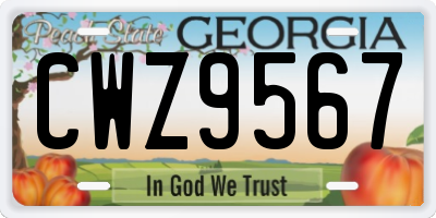 GA license plate CWZ9567