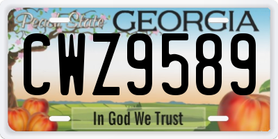 GA license plate CWZ9589