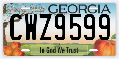 GA license plate CWZ9599
