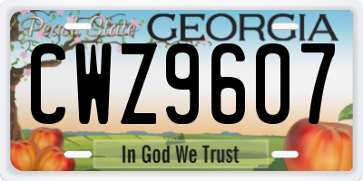 GA license plate CWZ9607