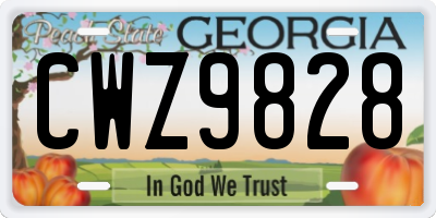 GA license plate CWZ9828