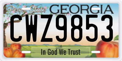GA license plate CWZ9853