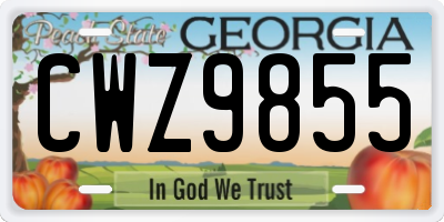 GA license plate CWZ9855