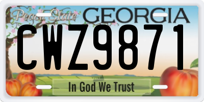 GA license plate CWZ9871