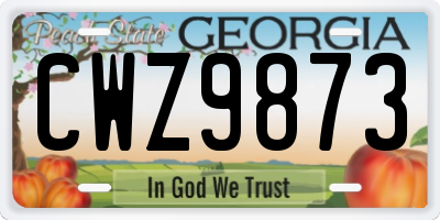 GA license plate CWZ9873