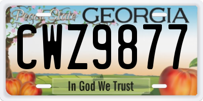 GA license plate CWZ9877