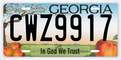 GA license plate CWZ9917