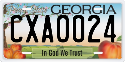 GA license plate CXA0024