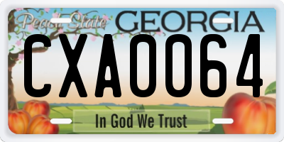 GA license plate CXA0064