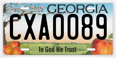 GA license plate CXA0089