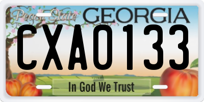 GA license plate CXA0133