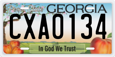 GA license plate CXA0134
