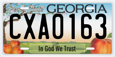 GA license plate CXA0163