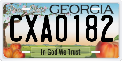 GA license plate CXA0182