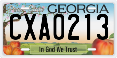GA license plate CXA0213