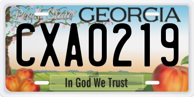GA license plate CXA0219