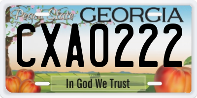 GA license plate CXA0222