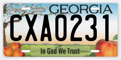 GA license plate CXA0231