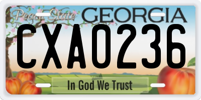 GA license plate CXA0236