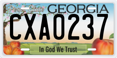 GA license plate CXA0237