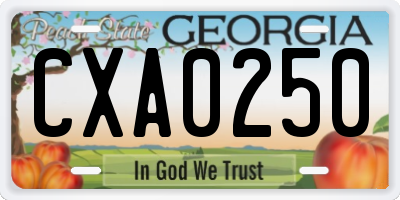 GA license plate CXA0250