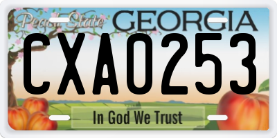 GA license plate CXA0253