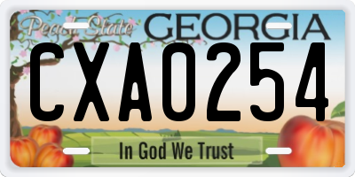 GA license plate CXA0254