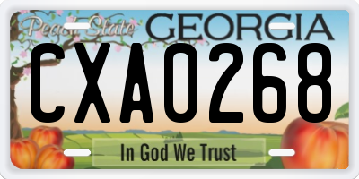GA license plate CXA0268