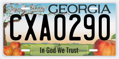 GA license plate CXA0290