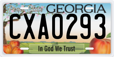 GA license plate CXA0293