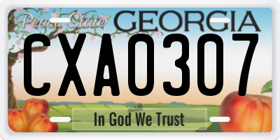 GA license plate CXA0307