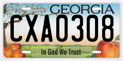 GA license plate CXA0308