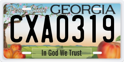 GA license plate CXA0319
