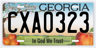 GA license plate CXA0323