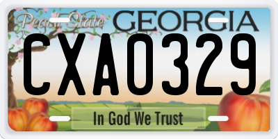 GA license plate CXA0329