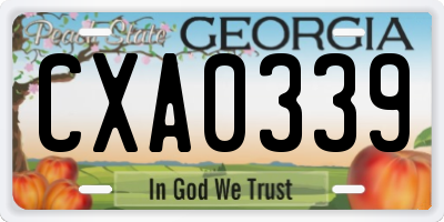 GA license plate CXA0339