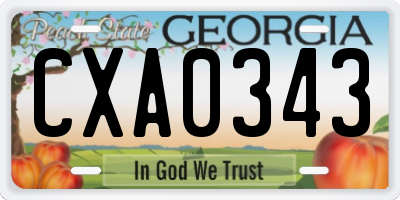 GA license plate CXA0343